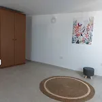 Apartamento Levante *