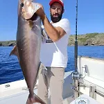Levante Terrasini