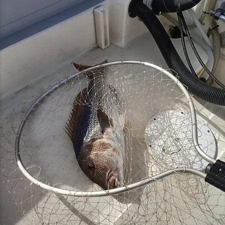 Appartamento Levante *