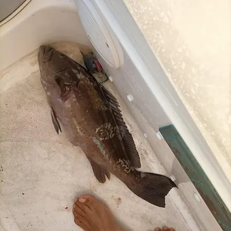 Апартаменты Levante *